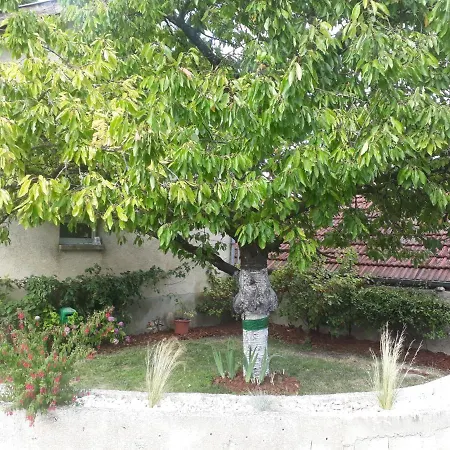 La Ruche * Morangis (Marne)