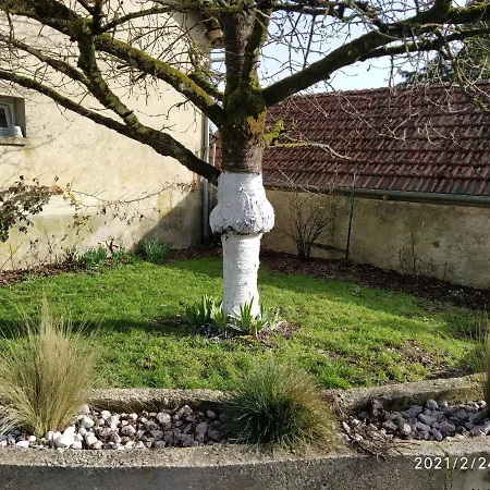 La Ruche * Morangis (Marne)