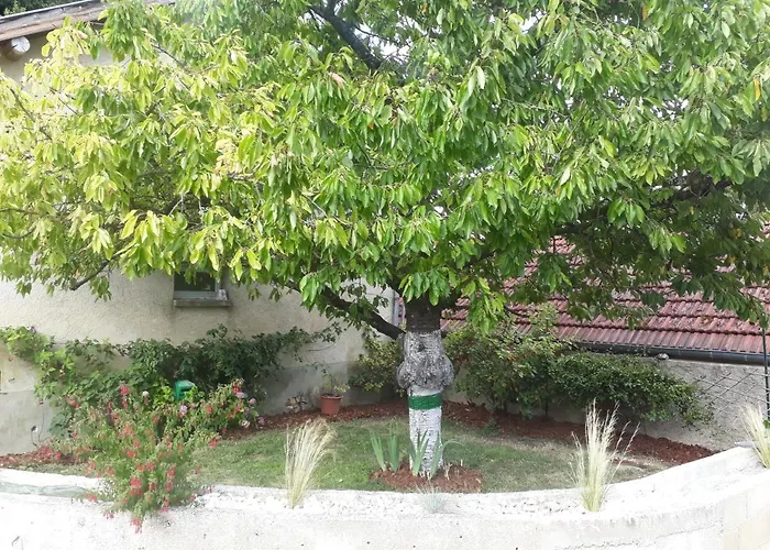 La Ruche * Morangis (Marne)