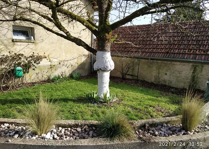 La Ruche * Morangis (Marne)